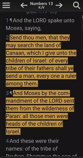 Reading Numbers 13 thru 15, Read the Bible Daily, Bible in a Year, 3 Chapters a Day #Numbers #accordingtoscripture #biblereading #bibleinayear #3chaptersaday