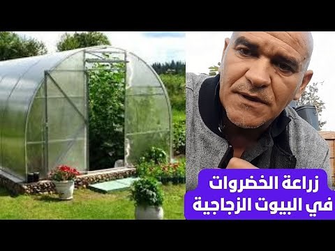 أسرار الزراعة في البيوت المحمية الزجاجية في سؤال و جواب..هل البيوت المحمية الصغيرة تحتاج إلى تهوية؟