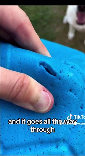 Jolly Pets Soccer Ball for Endless Playtime Fun | Dog Toys