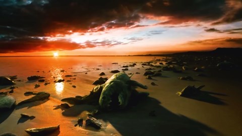 A Journey to Prehistoric Time: What Earth Was Like When Dinosaurs Ruled