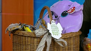 Halloween baskets for your special ‘Boo’
