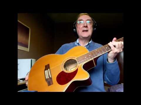 Freshman FA1ACDE12 acoustic guitar review