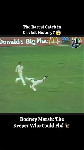 The Rarest Catch in Cricket History? 🏏 Rodney Marsh Classic Catch #cricket