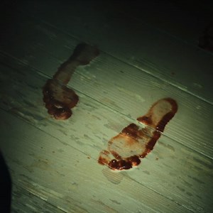 👣👣👣👣 #TheNightHouse | Searchlight Pictures