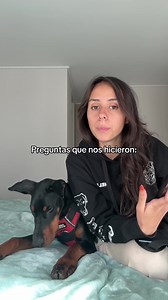 Preguntas sobre Doberman cachorro: respuestas y consejos
