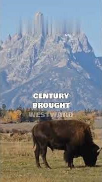 History of the United States of America in 60 Seconds