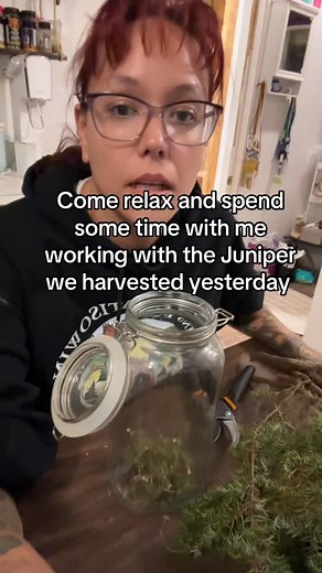 Just enjoying the evening with one of my closest relatives; Miss Juniper 🌲 Hope you’re having a good, relaxing evening. #Indigenous #landback #waterislife #indigenousscience #anishinaabe | Taylor Galvin