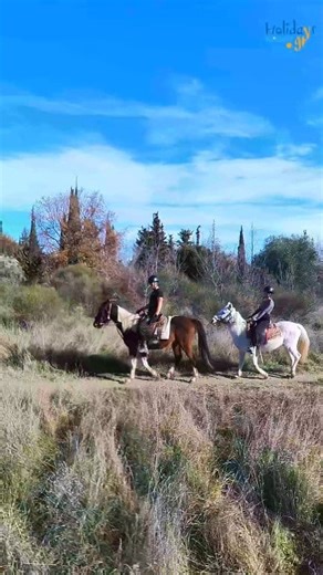 Φύγαμε για ιππασία στα μαγευτικά Τρίκαλα Κορινθίας! 🐴 Στο Κέντρο Ελεύθερης Ιππασίας-Horse Riding Center και Ορεινών Δραστηριοτήτων, κάθε βόλτα με άλογο είναι μια εμπειρία που σε συνδέει με τη φύση… Ήρεμα καλοεκπαιδευμένα άλογα, πόνυ για τους μικρούς αναβάτες. Και πάντα ο Νίκος με εμπειρία και χαμόγελο να σε καθοδηγεί με ασφάλεια, βήμα βήμα. Είτε είσαι αρχάριος είτε λάτρης της ιππασίας, εδώ θα ζήσεις κάτι αληθινό, αυθεντικό και αξέχαστο. Κλείσε τη βόλτα σου ΤΩΡΑ 📞 6936889973 🌐 orinesdrastiriot