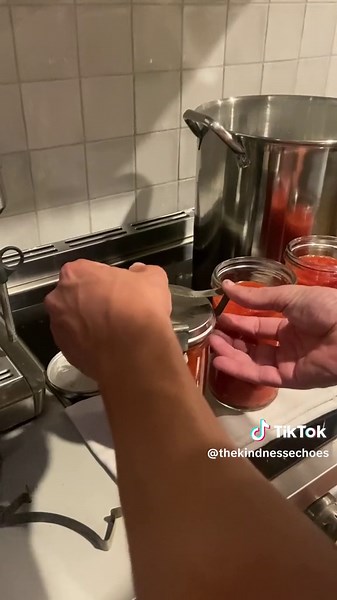 The Kindness Echoes on TikTok