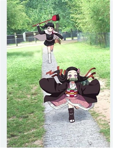 nezuko meme funny #memes #demonslayer #fanard #nezuko #funny
