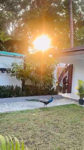 20K views · 97 reactions | From Science Project to Living Ecosystem...