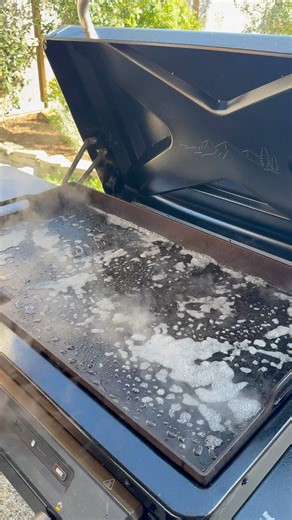 17K views · 301 reactions | How I clean my griddle and no I’m not gonna use sprite to clean it  #Griddle #GriddleSeason #GriddleCooking #GriddleCleaning #FlatRockGriddle #TraegerGriddle #TexasWeather #SpringTime Traeger Grills | Little Cajun House | Facebook