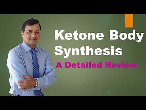 Ketogenesis (Ketone Body Synthesis)