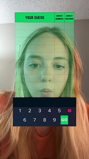Guess The Number Filter - Master Mind Effect