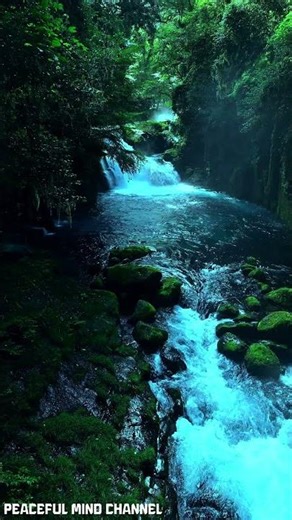 Nature Sounds for Deep Sleep 🌿 | Relaxing Forest Ambience