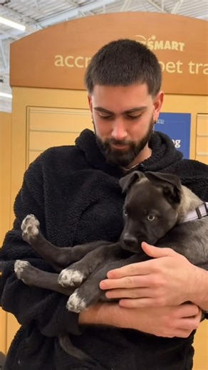 Kelley Cabral-Mosher on Instagram: "Hope you had a great Birthday my boy! This year has brought great shifts, growth and paved the path for you to keep shining! Love you @trillxsvmmy 🩵 cherish all those special qualities of yours - kindness, strength, silliness, smarts, hard work and more! #boymom #birthdayvibes #blessedtobeyourmom #connection"