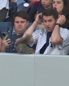 1.3M views · 3.8K reactions | That was NUTS 樂 #baseball #baseballlife | MLB Throwbacks | Facebook