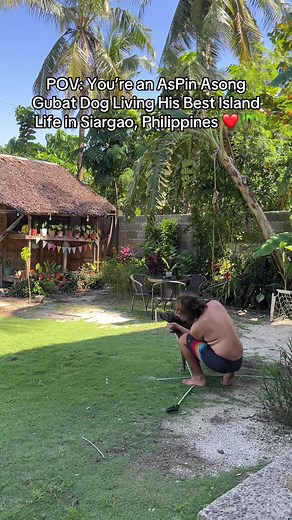 Discover the Joys of Adopting Asong Pinoy Dogs in Siargao
