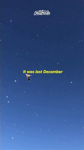 back to being friends?