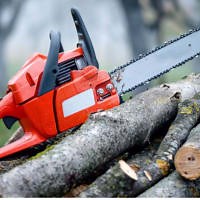 Town & Country Tree Surgery Co, Cambridge | Tree Surgeons - Yell