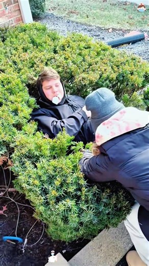 Anesthesia Collection🤓👀🤯🤓#funny #anesthesia #reaction #wisdomteeth #laugh