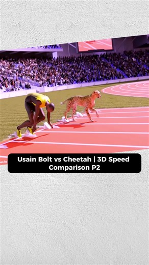 Usain Bolt vs. Cheetah: 3D Speed Comparison