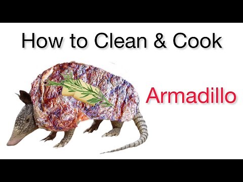 How to clean and cook Armadillo