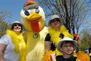 Duckling Day - Friends of the Public Garden