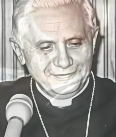 Papa Emeritus #benedictoxvi #popebenedict #xvi