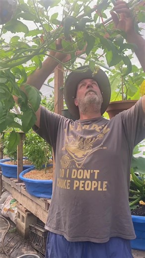 New Gardening T-Shirt Unveiled: Perfect for Garden Lovers