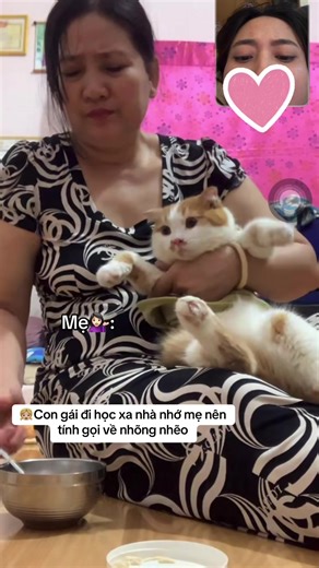 Mẹ Bận Rồi: Con Nhớ Mẹ Khi Đi Học