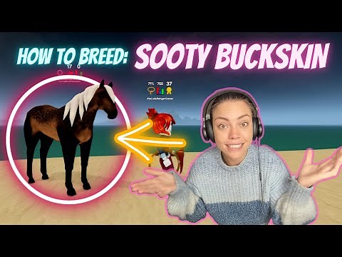 Trying to breed the unique coat *SOOTY BUCKSKIN* / Wild Horse Island's / ROBLOX