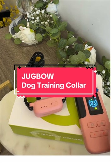 Enhanced Dog Training Collars on Clearance Sale