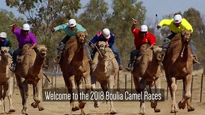 159 reactions · 59 shares | The Melbourne Cup of Camel Races, in the land of the in Min Min Light! 20-22 July 2018. | Experience Outback Queensland, Australia | Facebook