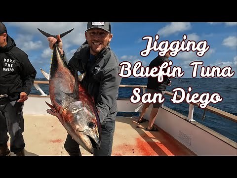 San Diego Offshore Bluefin Tuna | CRAZY BITE | Slow Pitch Jigging | Best Tuna Jig