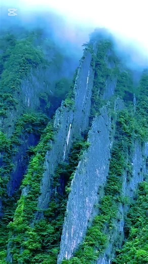 #creatorsearchinsights #musicality #dancehacks #musictech #dancechallenge