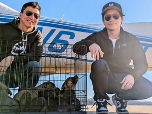 Pilots N Paws take to the air to rescue 101 dogs