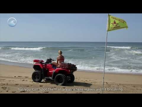 Rip Current - science