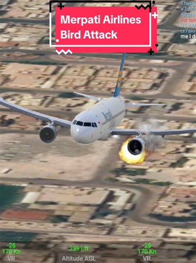 Real Flight Simulator Merpati Nusantara Airlines Takeoff Landing Bird Attack #merpatinusantara #merpatinusantaraofficial #merpatiairlines