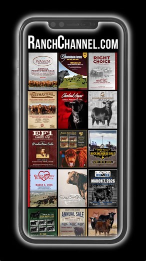 RanchChannel.com 𝗥𝗘𝗤𝗨𝗘𝗦𝗧 𝗖𝗮𝘁𝗮𝗹𝗼𝗴𝘀, 𝗕𝗜𝗗 𝗢𝗡𝗟𝗜𝗡𝗘, 𝗩𝗶𝗲𝘄 𝗖𝗮𝘁𝗮𝗹𝗼𝗴𝘀 & 𝗩𝗶𝗱𝗲𝗼𝘀. Full Sale Details! Scroll to find the Genetics your operation has been missing! The premier listing service, Ranch Channel - Your Farm & Ranch Network On-Demand, visit RanchChannel.com today! 𝙐𝙥𝙘𝙤𝙢𝙞𝙣𝙜 𝙎𝙖𝙡𝙚𝙨 - February 19: Wasem Red Angus February 21: Schiefelbein Farms: Angus, SimAngus February 21: Schnabel Ranch & Lazy J Bar Ranch: Simmental, SimAngus & Red Angus Februar