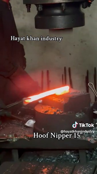 Essential Farrier Tools for Horse Care and Trimming