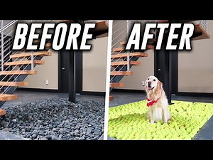 WE FILLED IT WITH TENNIS BALLS AND HE FREAKED OUT!