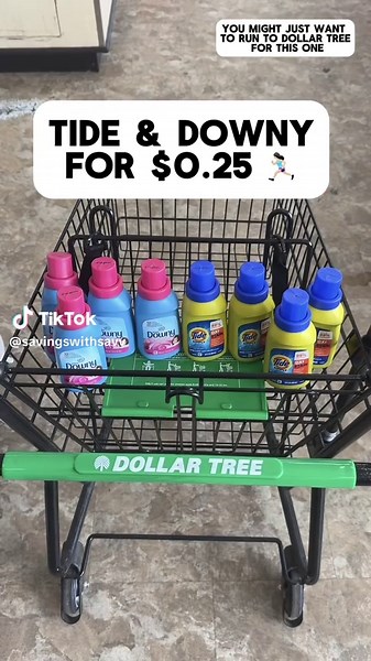 Cheap Tide & Downy at Dollar Tree!