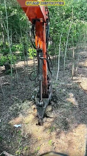 Stump Ripper Machine Removes Massive Tree Roots.
