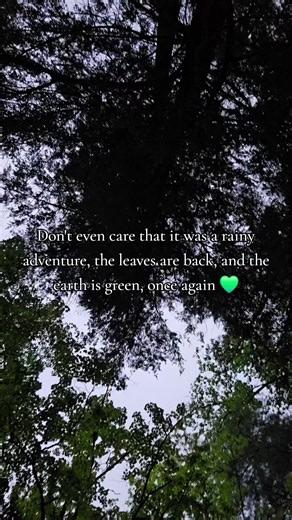 The neon greens of spring that come out after a rainstorm are my favorite shades of green 💚 they're extra welcome after that long winter we had. #naturelovers #spring #scenicview #trees #wny