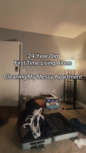 Rock soon 🪨 #lifestyle #apartmentdecor #cleaning