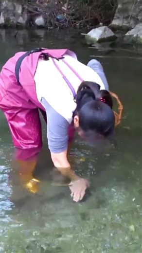 Discover the World of Pearl Collecting