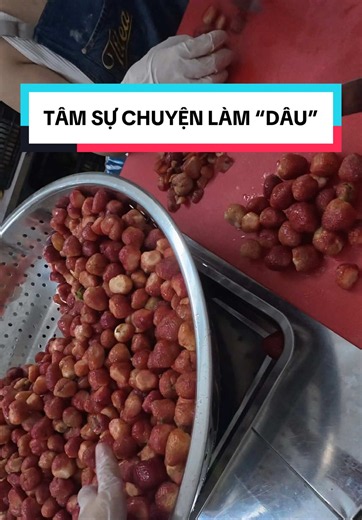 Tâm sự chuyện làm dâu — câu chuyện trải nghiệm & cảm xúc