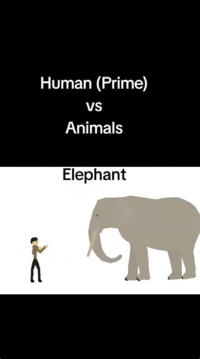 Human (Prime) vs Animal 🐾😳Who wins? 🔥