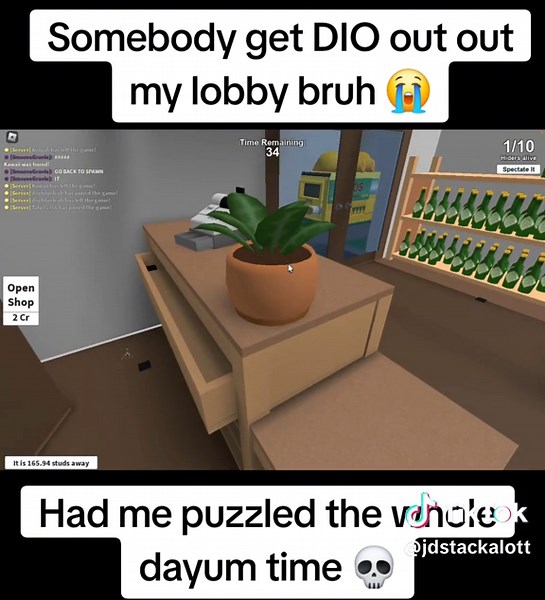 Roblox Hide and Seek Extreme: Dio's Teleportation Fail